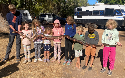 Australia’s Top 5 Family-Friendly Campsites: Voted by Mums Who Caravan and Camp